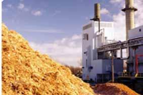 CELLULOSIC ETHANOL IN THE NORTHWEST