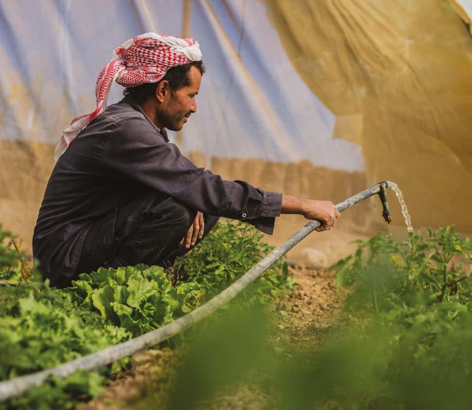 Natural resources Climate change is causing increased periods of drought and unpredictable rainfall, while limiting the growth of sustainable, diversified and resilient rural livelihoods in Yemen
