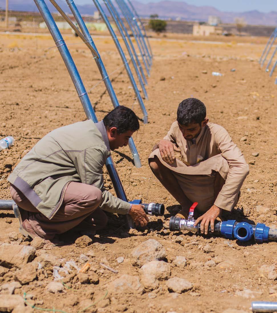 Coordination and partnership Photo: Inefficient water management is a serious challenge for food production in Yemen.