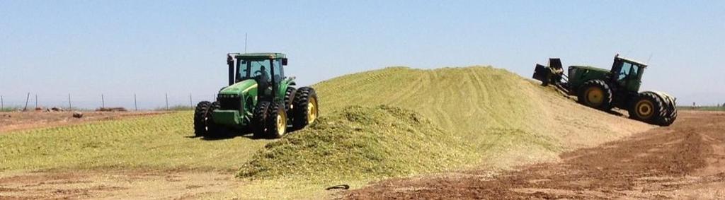 Outline Harvest Date & Dry Matter (DM) Challenges & Proposed Solutions Packing & Silage Density