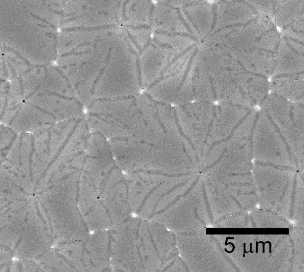4 SEM micrograph for JIC poly-si produced by applying a pulsed voltage of 1150 V for 18 μs. Fig.