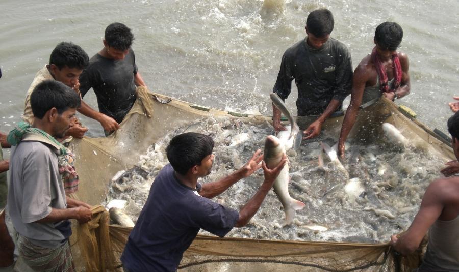 Policy Recommendation 6: Provide a political and fiscal environment conducive for establishing new small-scale fish farms and for adoption of appropriate and sustainable farming methods.