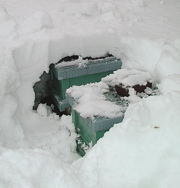 Winter losses 40,0 Winterlosses in Finland (%) 35,0 30,0 25,0 20,0 15,0 10,0 5,0 0,0 1999-2000