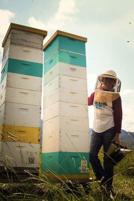 Alternatives to Aug 1 harvest Move honey to