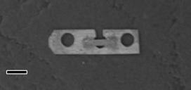 a b c & FIB & FIB 2 mm d e f Platelet 1 Sample I Tension Tension 2 II III 100 nm 3 5 µm 500 nm Figure 1 Small-volume metallic-glass samples for the in situ tensile straining experiment in the TEM.