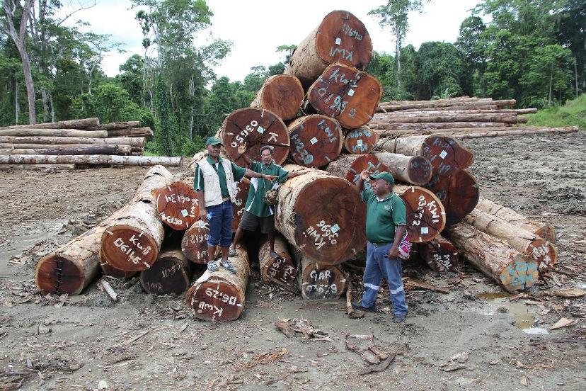 PNG industry The status quo is a focus on log exports; 2015 exports = 3.