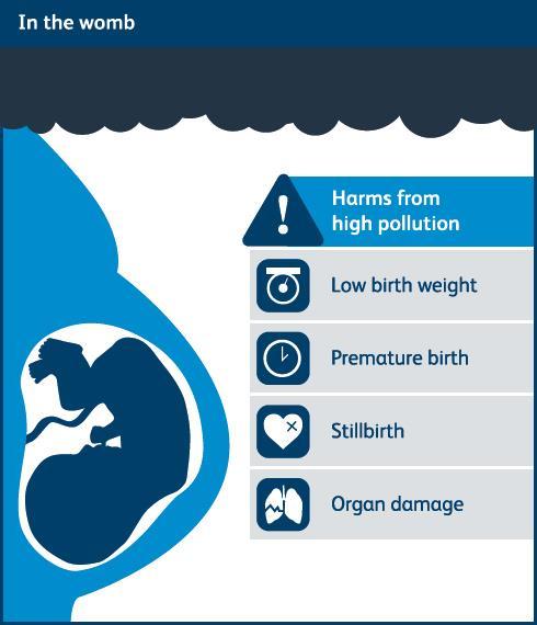 Protecting future generations First report to examine health implications of exposure to air pollution over lifetime Developing heart, lung,