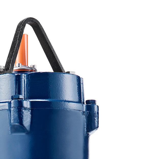 SEWAGE PUMPS COMMON FEATURES 1 Watertight Cable Entry The cable entry employs an anti-wicking block where each conductor is stripped and encapsulated in epoxy.