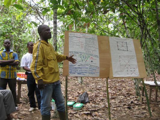 Input supply chain Understand (exclusive) mechanisms of service delivery models for different farmers Develop a vision on inclusion (who will be the future generation of cocoa farmers?