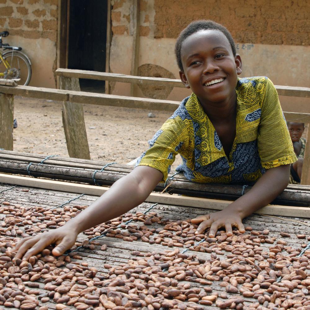 cocoa sustainability challenge.