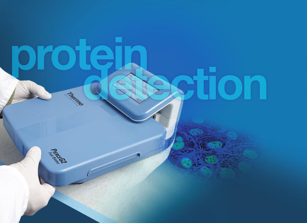 3 Protein Detection More choices, better detection.
