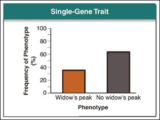 What is the chance of having a heterozygous genotype?