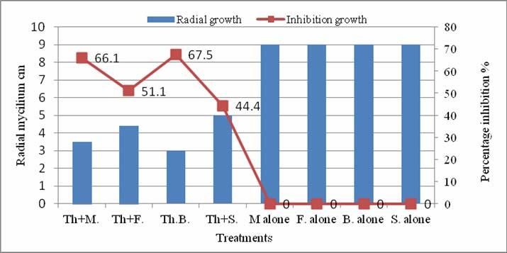 From data presented in (Table 1and Fig. 2) it was evident that T. harzianum significantly decreased the mycelial radial growth of isolated pathogenic fungi. T. harzianum retarded colony growth of the pathogen and inhibited its growth.