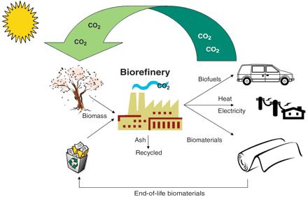 Biofuels &