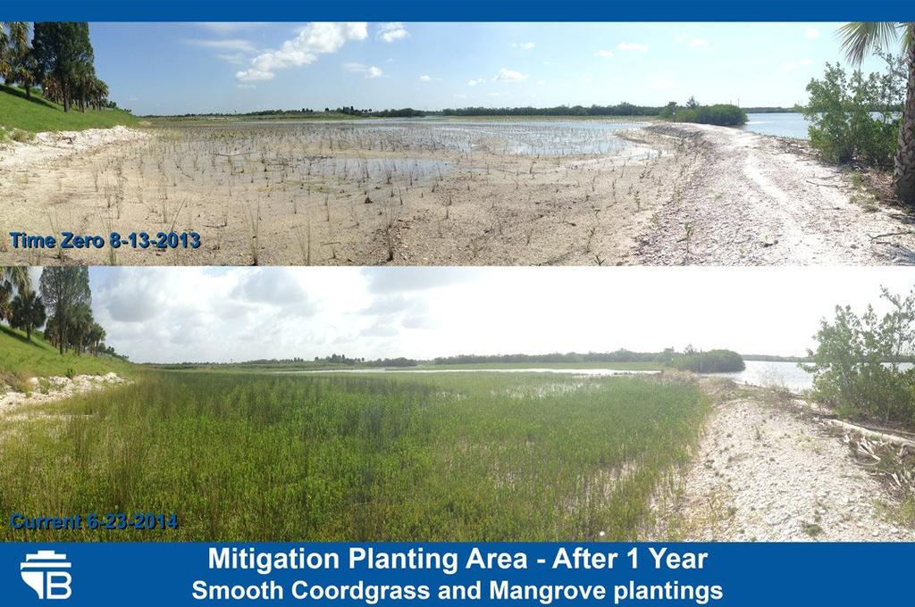 The McKay Bay Restoration project has resulted in major improvements to a degraded estuarine ecosystem in Tampa Bay.
