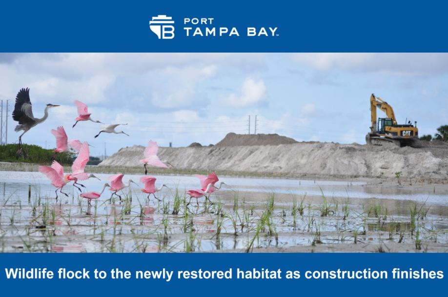 McKay Bay Restoration (McKay Bay Mitigation Site and McKay Bay Dredge Hole Restoration) Tampa Port Authority Summary The Tampa Port Authority, with assistance from the Southwest Florida Water