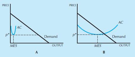 MINIMUM EFFICIENT SCALE (MES) We have seen earlier that the Pareto efficient amount of output in an industry occurs where price equals marginal cost.