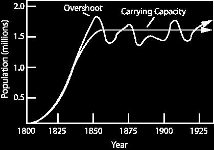 Carrying capacity: the number of organisms of a population a particular