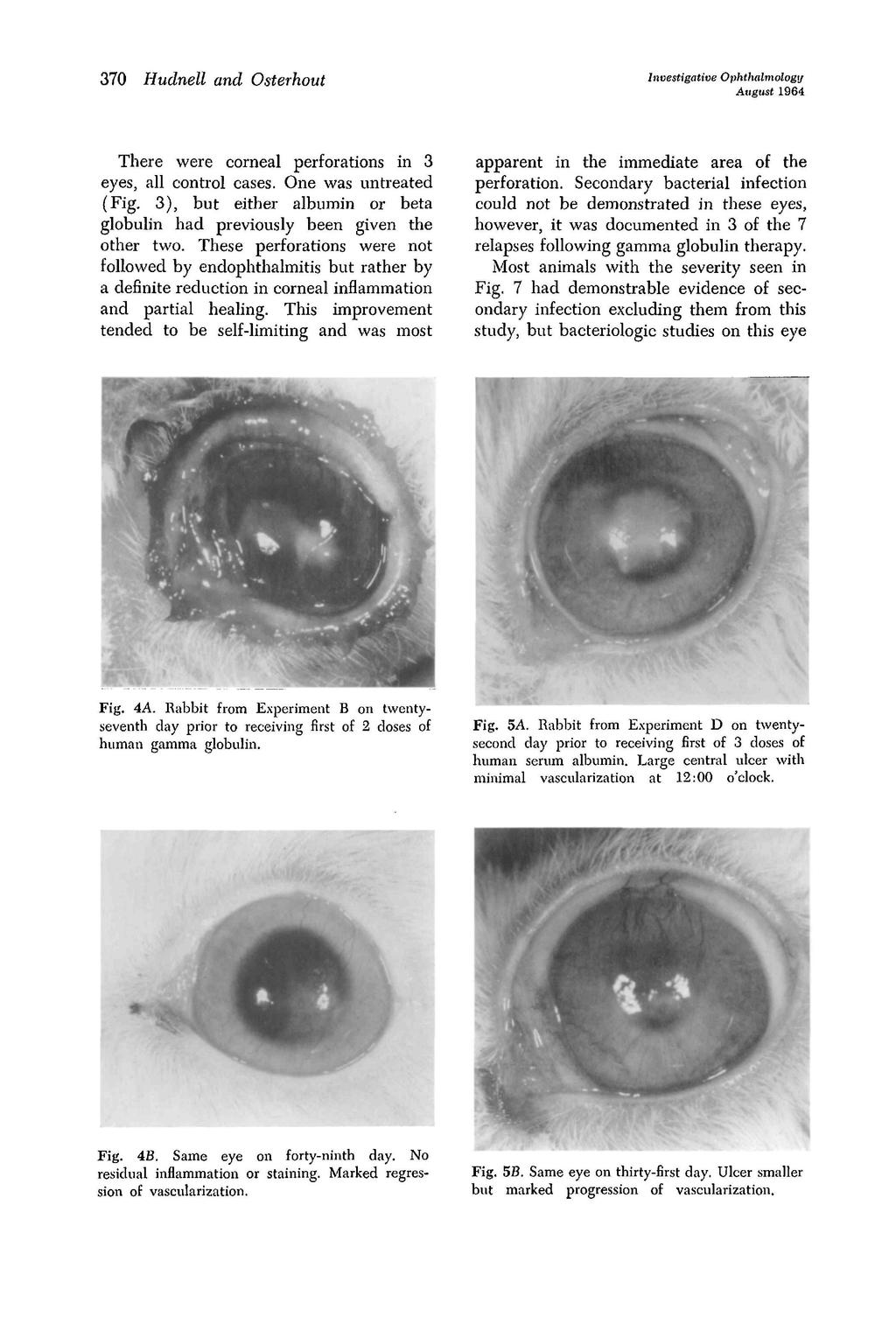 7 Hudnell and Osterhout Investigative Ophthalmology August 96 There were corneal perforations in eyes, all control cases. One was untreated (Fig.