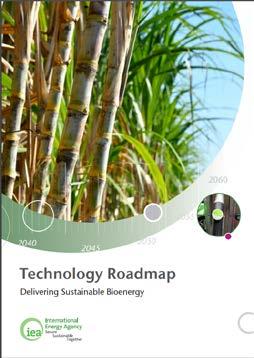 Roadmap launched IEA Bioenergy Roadmap launched on 30 November 2017 at joint IEA and Mission Innovation Event in Ottawa Technology
