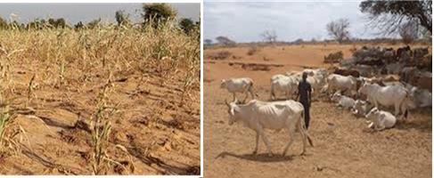 Introduction The Greater Horn of Africa (GHA) is one of the regions most vulnerable to climate-related risks.