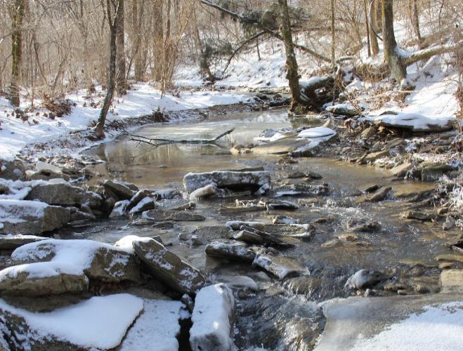 TARGET FUNDING OPPORTUNITIES Kentucky Fee In-Lieu of Program (FILO) FREE Stream restoration: Improve habitat and reduce sedimentation