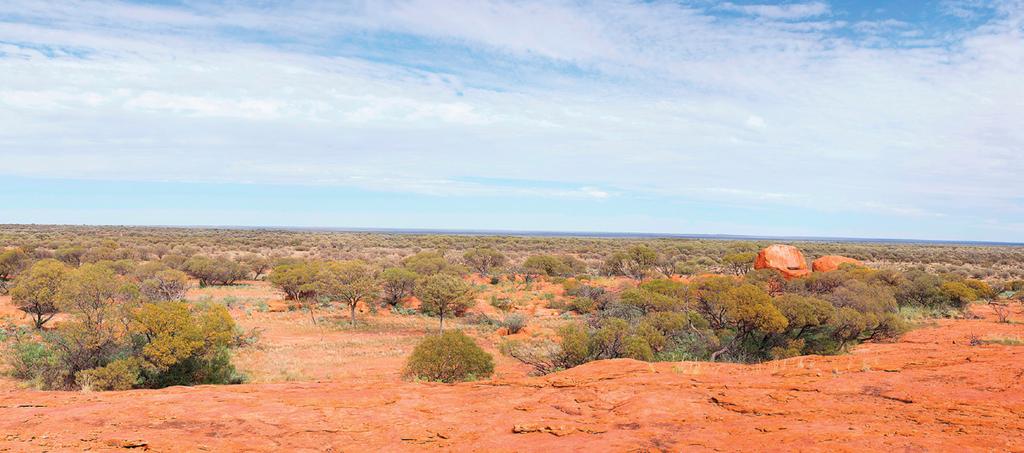 Yeelirrie Uranium Project Yeelirrie is one of Australia s largest undeveloped uranium deposits.