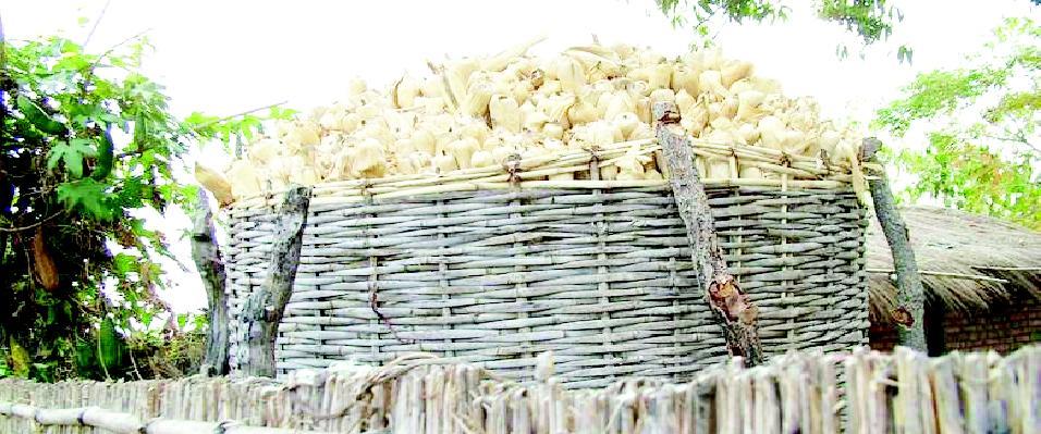 The country has enjoyed bumper maize harvests courtesy of the fertiliser subsidies challenges which threaten its sustainability.