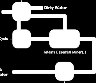 purifier is a Reverse Osmosis membrane having capillaries as small as 0.