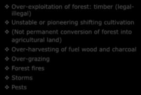 timber (legalillegal) Unstable or