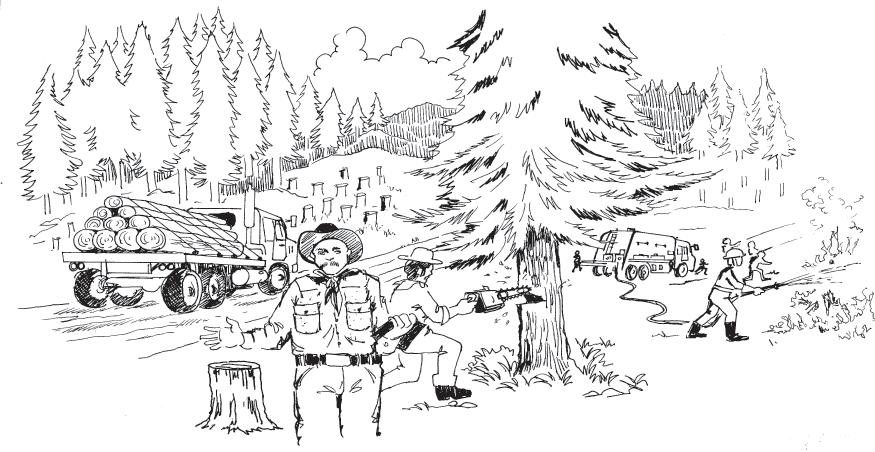 Community Forestry in Mexico: Potentials and Achievements The Tragedy of the Commons In 1968, Garret Hardin published The Tragedy of the Commons, a brief paper that quickly had enormous policy