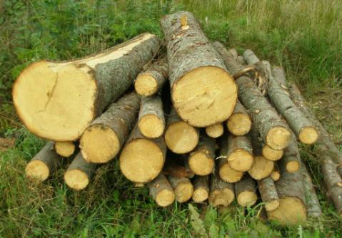 wide range of wood and non-wood forest products.