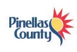 Executive Summary Pinellas County Surface Water Governance Pinellas County, Florida, wishes to develop a comprehensive surface plan to address surface water programs in the unincorporated County with