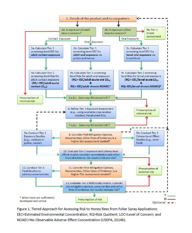 Federal, state and other neonicotinoid registration policies and initiatives Three tiered risk evaluation framework using honey bees as surrogate species.