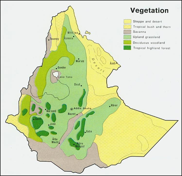 Ethiopian Oilseeds Diversity of growing conditions Smallholder Agriculture 3 million farmers Low Yields Low use of