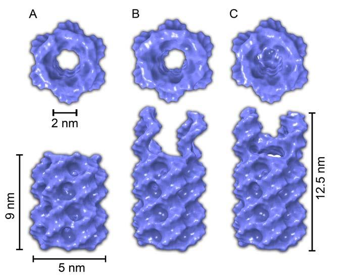 1.3. Dimensions of DNA nanopores Supplementary Fig. 2.