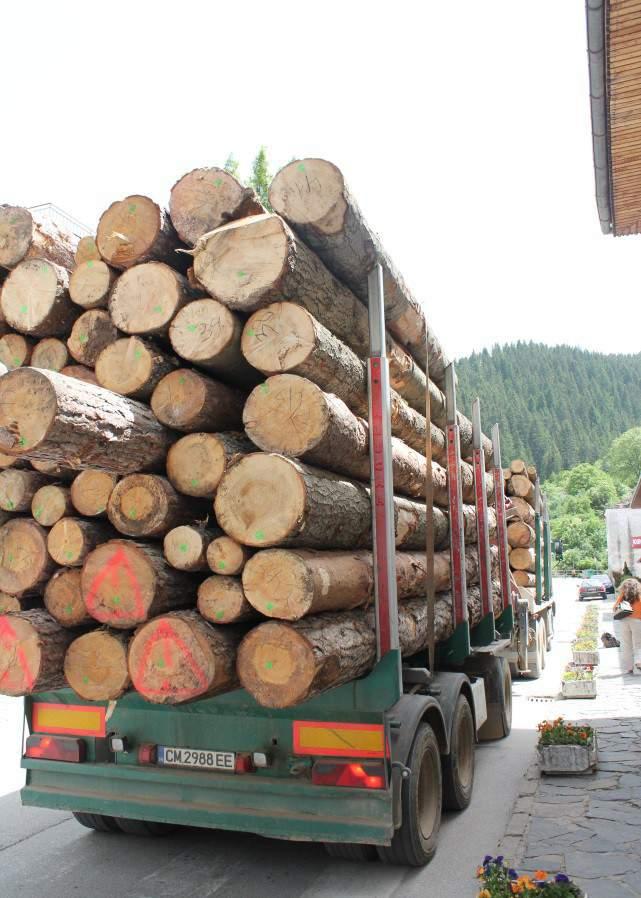 PEconomicST FACTORS General economic situation in the Balkan countries, including external influence Business situation in the forest sector market and trade cycle,