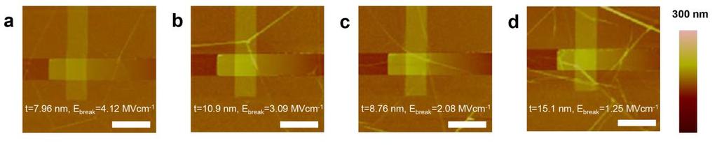 Supplementary Figure 12. (a-d) Representative AFM images of each device for breakdown electric field measurement.