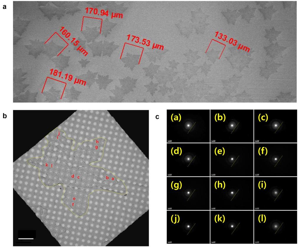 Supplementary Figure 15. (a) SEM image of single crystalline graphene flakes. (b) TEM image of a single crystalline graphene.