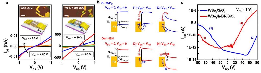 Supplementary Figure 20. (a) I DS -V DS characteristics of monolayer WSe 2 on SiO 2 (left) and h- BN (right) substrates for various back gate bias between + 80 to -80V with a step of -20 V.