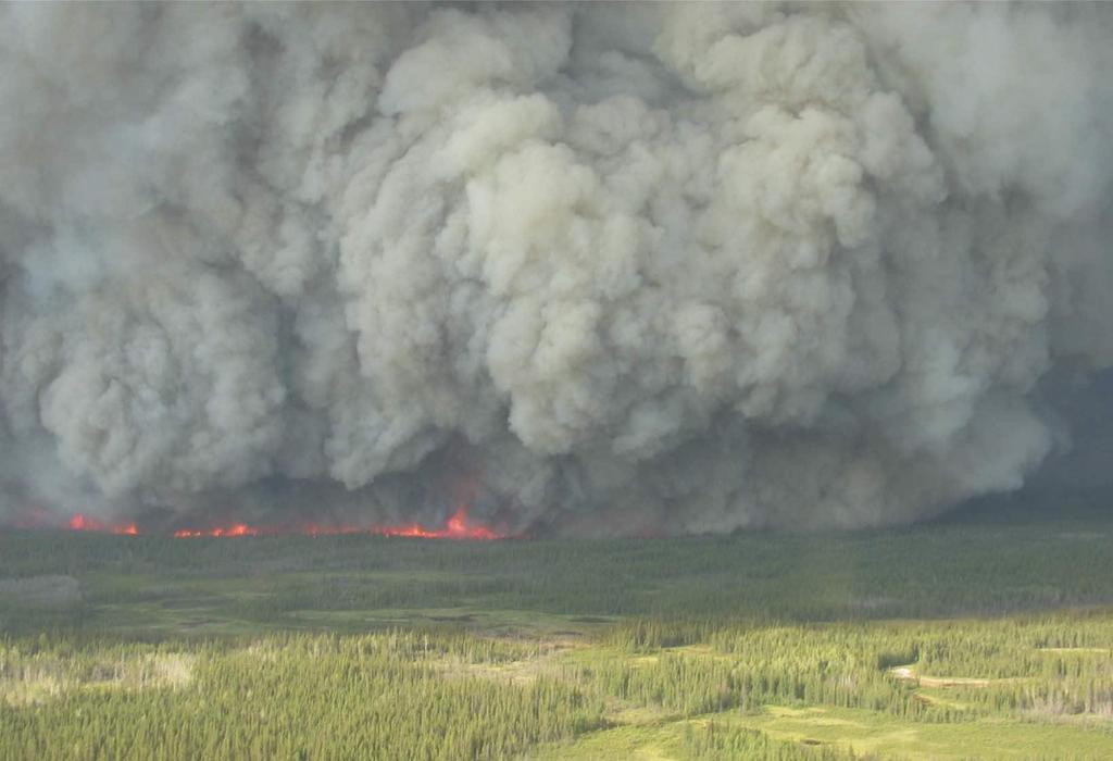 Boreal fire is common & widespread but now