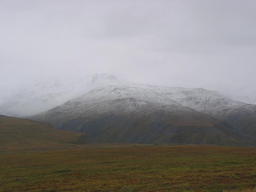 Permafrost thaw could substantially modify climate What is likely to be the magnitude, timing, and form of permafrost carbon release to the atmosphere in a warmer world?