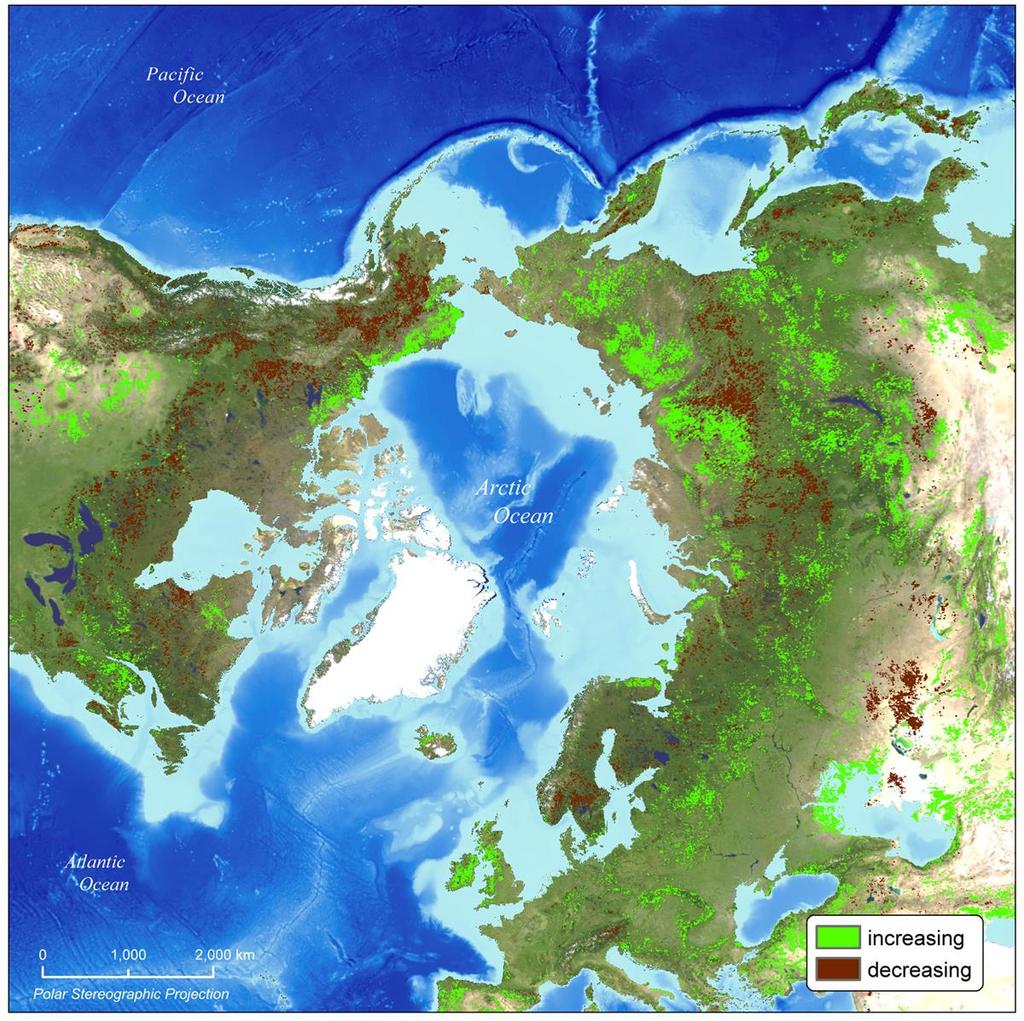 Satellite observed productivity increases across tundra