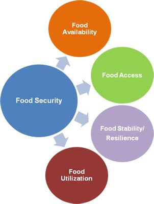 Food Security When all people, at all times, have physical and economic access to sufficient, safe and