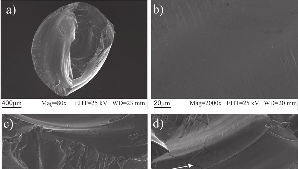 Figure 4: SEM images of the fracture morphology of Fe 36 Co 36 B 19 Si 5 Nb 4 alloy rod with diameter of =3 mm after compressive fracture; a main view: smooth and vein pattern regions, b image of