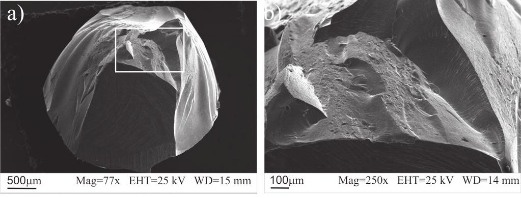 Figure 5: SEM images of the fracture morphology of Fe 36 Co 36 B 19 Si 5 Nb 4 alloy rod with diameter of =4 mm after compressive fracture; a main view: vein and smooth pattern regions, b image of