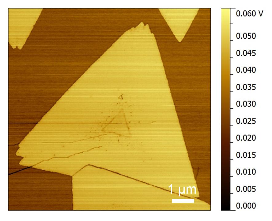 Figure S6. AFM friction image of the same WS 2 /MoS 2 flake shown in Figure 2h.
