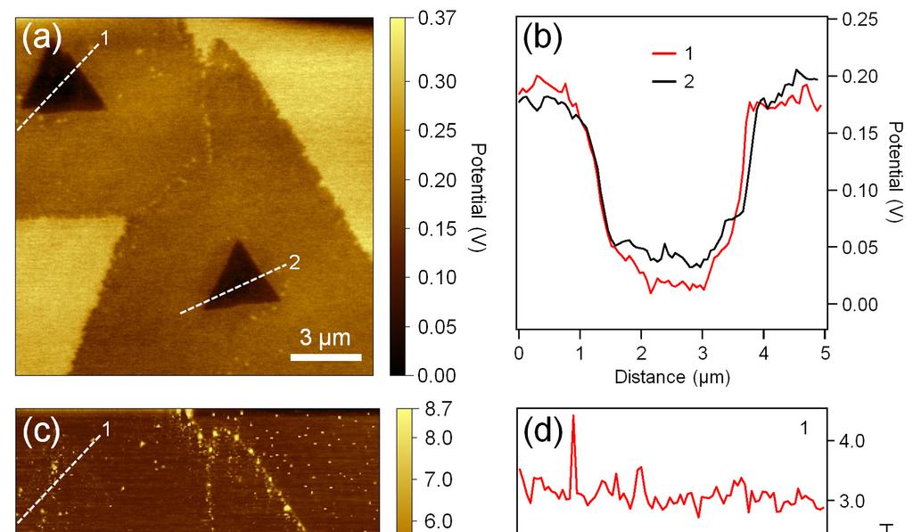 Figure S7. (a) KPFM surface potential image of in-plane heteroepitaxial WS 2 -MoS 2 monolayers.