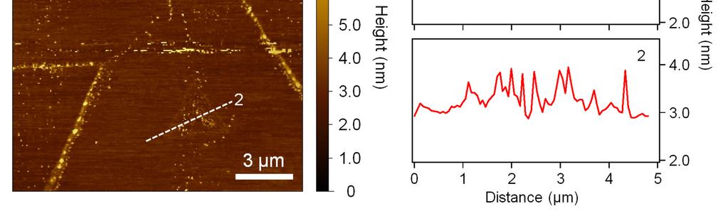 exist across the lateral junction, confirming as-synthesized heterostructures have high-quality lateral junctions.