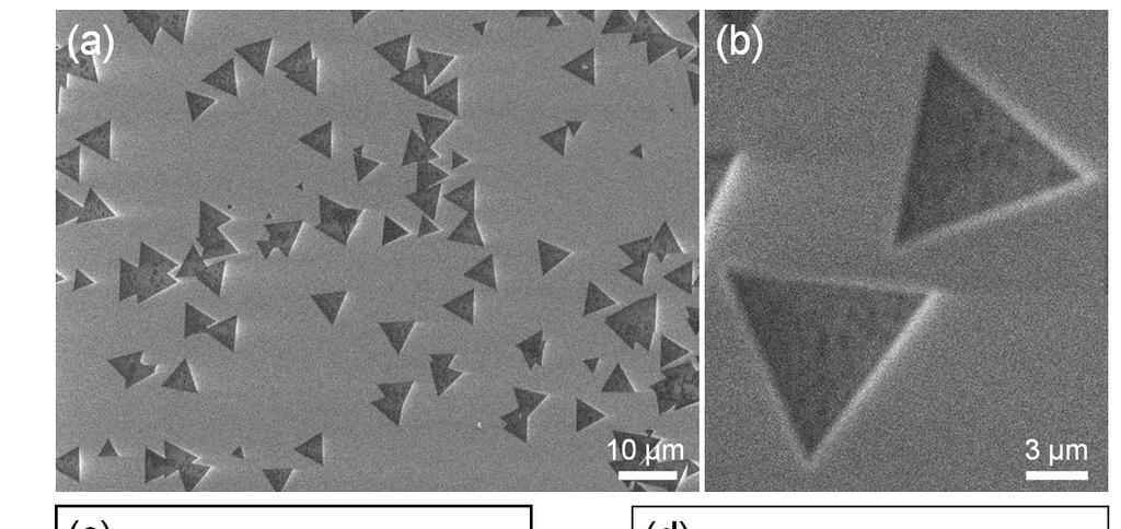 Figure S9. (a, b) SEM images of vertical WS 2 /MoS 2 heterostructures possessing no WS 2 ribbons synthesized from monolayer MoS 2 grown without hydrogen under low flux conditions.
